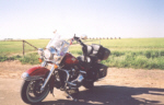 The Cadillac Ranch