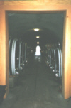 The loooooooong and winding cave...