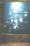 Wyland Studios