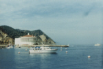 Catalina Island, CA